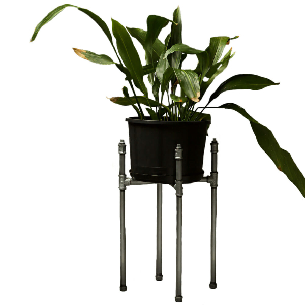 Pipe fitting plant stand holding a plant in a black pot